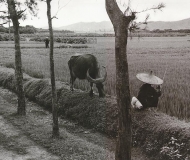 Near Guangzhou, Guangdong