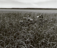Wild ricers returning through marsh grass, Nett Lake, MN.