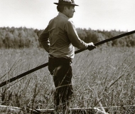 A harvester poling through a field of wild rice.