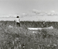 Harvesting wild rice in the Kakagon Sloughs.